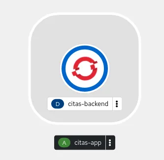 citas-backend
